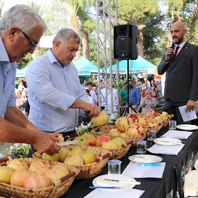 ÇEKİRDEKSİZ NAR VE TROPİKAL MEYVE FESTİVALİNE SAYILI GÜNLER KALDI